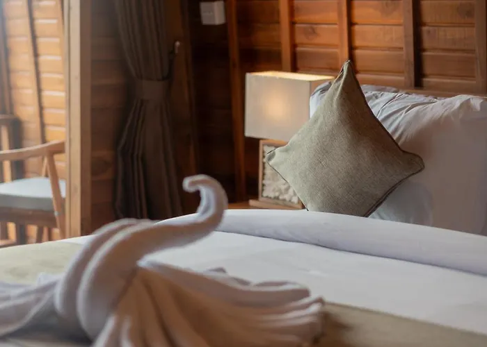Donald Guest house 3*
