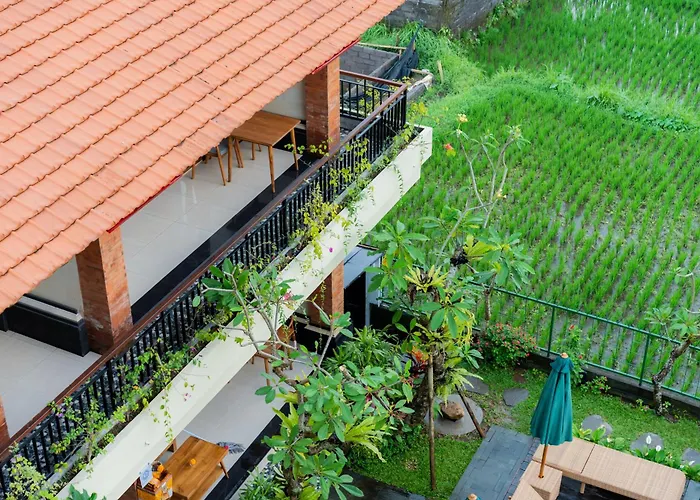 Donald 3* Ubud (Bali)